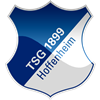 hoffenheim-logo